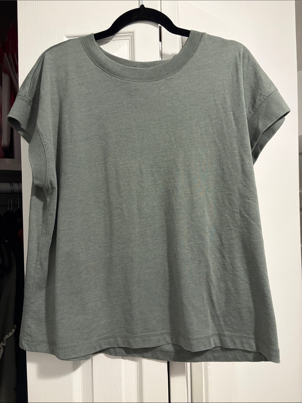 Classic Relaxed Crewneck Tee - Sage Green